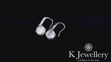Load the video into the gallery viewer and play, Moissanite Six Claws Ear Hooks Moissanite Six Claws Ear Hooks
